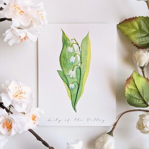 Lily of the Valley - Cartes de correspondance vierges et pliées - Paquet de 5