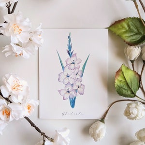 Gladiola - blanco, gevouwen notitiekaarten - pak van 5