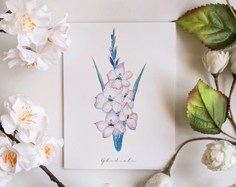 Gladiola - Tarjetas de notas plegadas en blanco - Paquete de 5