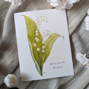 Lily of the Valley (New) - Blank, Folded Note Cards - Pack of 5