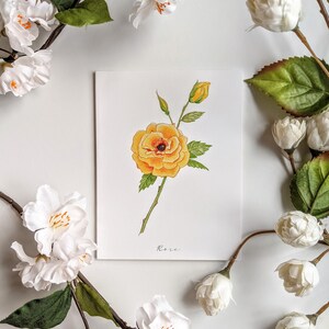 Rosa - Biglietti per appunti vuoti e piegati - Confezione da 5