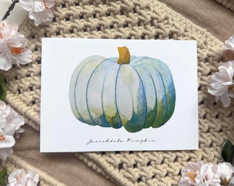 Calabaza - Tarjetas de notas en blanco y dobladas - Paquete de 5