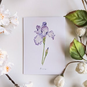 Iris - Cartes de correspondance vierges et pliées - Paquet de 5