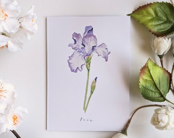 Iris - Tarjetas de notas plegadas en blanco - Paquete de 5