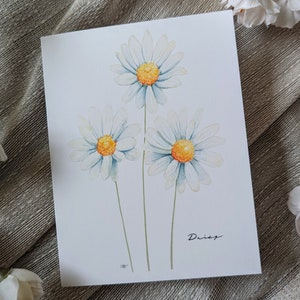 Gänseblümchen (Neu) - Blank, Klappkarten - 5er Pack