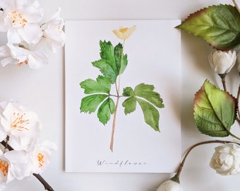 Windflower - Tarjetas de notas plegadas en blanco - Paquete de 5
