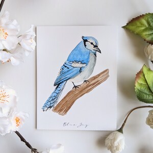 Blue Jay - blanco, gevouwen notitiekaarten - pak van 5