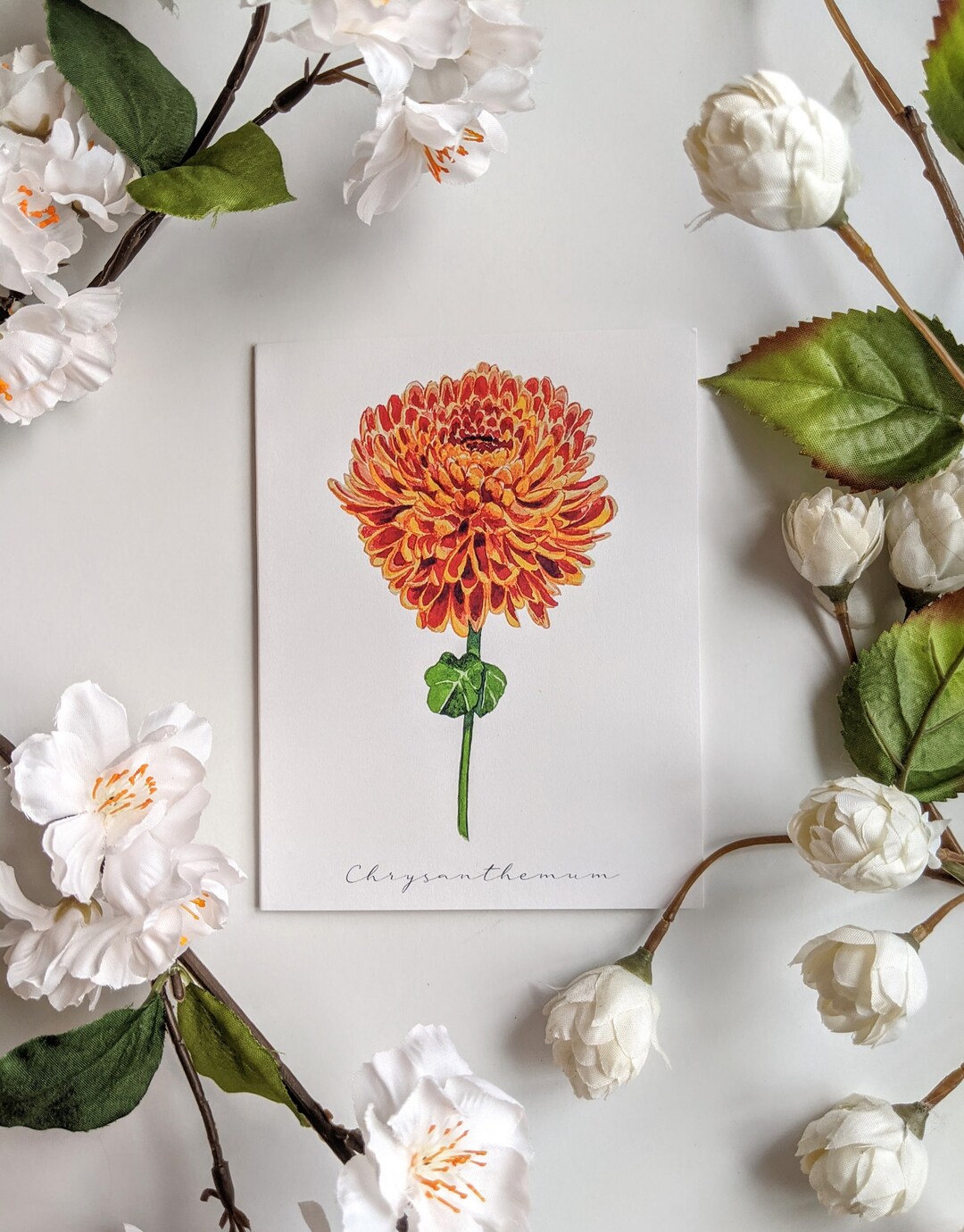 Chrysanthemum - Blank, Folded Note Cards - Pack of 5 - Etsy