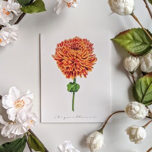 Chrysanthemum - Blanko, Klappkarten - 5er-Pack