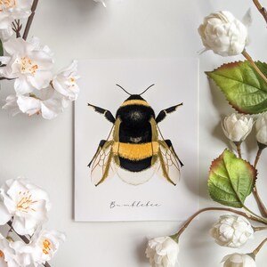 Bumblebee - Cartes de correspondance vierges pliées - Lot de 5