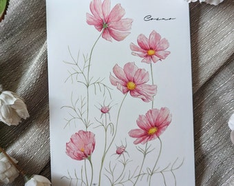Cosmo (Nuevo) - Tarjetas de notas en blanco y plegadas - Paquete de 5