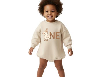 ONE silly goose birthday outfit