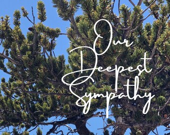 Customized Sympathy Card, plus we will Plant a Tree in a US National Forest honoring a loved one