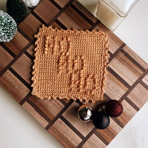 The Holiday Ho Ho Ho Dishcloth/Washcloth Crochet Pattern  | DIGITAL PATTERN ONLY | christmas santa pattern
