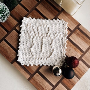 The Holiday Snowman Dishcloth/Washcloth Crochet Pattern  | DIGITAL PATTERN ONLY | holiday snowman pattern