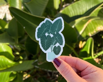 Elephant Ear Tree Clear Stickers | Decor Laptop Water Bottle Decoration Plant Stickers