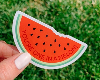 You're One in a Melon Watermelon Magnet | Unique Shape in Color | Puns Illustration Car Refrigerator Decoration Magnets