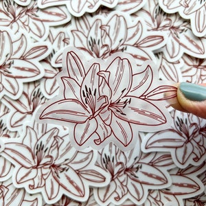 Lilie klare Aufkleber | Blumen, Blumen illustriert, Pflanzen, einfach, wetterfest, niedlich Geschenke für Freunde, spülmaschinenfest, Dekor