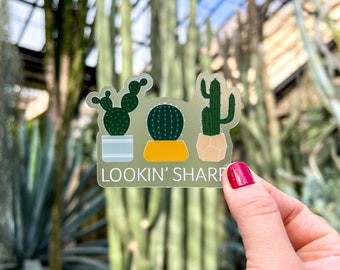 Lookin’ Sharp Pun Clear Stickers | Cacti Plant Decor Souvenir | in Color | Laptop Sticker | Water Bottle Sticker | Plant Sticker