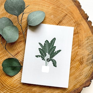 carte de voeux d'oiseau de paradis | Arbres illustrés : des cadeaux amusants pour les amis amateurs de plantes | Carte Blanche Toutes Occasions Célébrations Nature