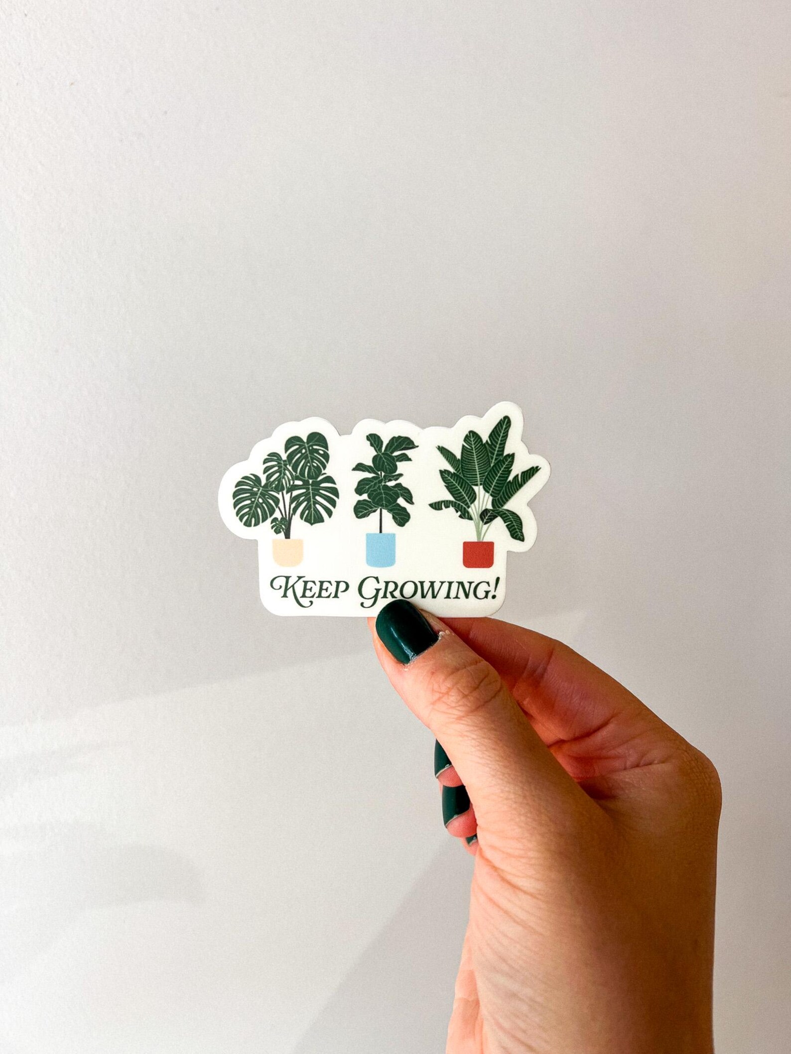 Grow Sticker Keep Growing Sticker | Plants Monstera, Fiddle Leaf Fig Tree, Bird of ...