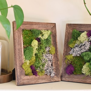 Moss Art, Moss Wall Art, Outdoor Decor, Natural Decorations, Green Decor, Preserved Moss, Unique Home Decor, Wall Art, Office Decor