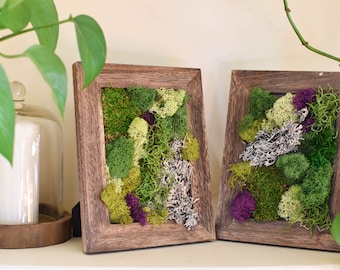 Moss Art, Moss Wall Art, Outdoor Decor, Natural Decorations, Green Decor, Preserved Moss, Unique Home Decor, Wall Art, Office Decor