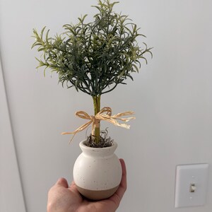Mini Faux Rosemary Topiary in Stone Pot