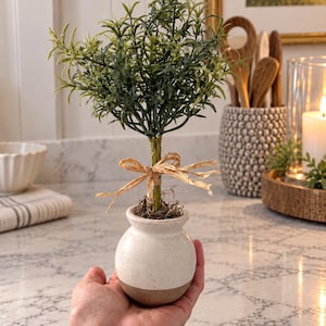 May include: A small artificial rosemary topiary tree with green needle-like leaves, featuring a light tan raffia bow tied around the central stem. The plant is potted in a round, two-toned ceramic vase with a speckled white top and a solid tan base.