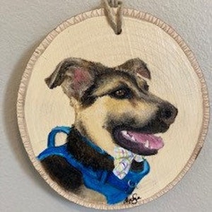 Painted ornaments and pet ornaments