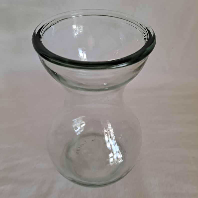 Clear Glass BULB FORCING VASE 5 3/4 Hyacinth Starter Clear Flower
