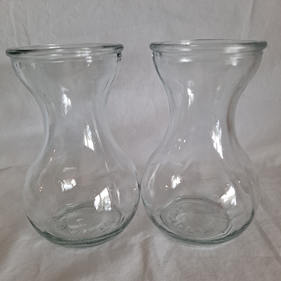 Lot 2 Clear Glass BULB FORCING VASE 5 3/4 Hyacinth Starter Clear Flower