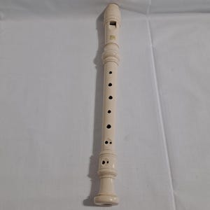 RECORDER Musical INSTRUMENT Woodwind B Made Indonesia