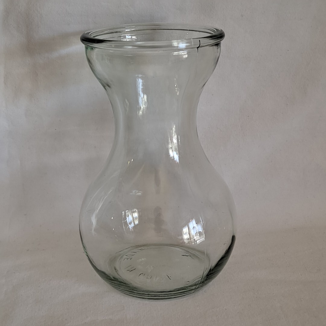 Clear Glass BULB FORCING VASE 5 3/4 Hyacinth Starter Clear Flower