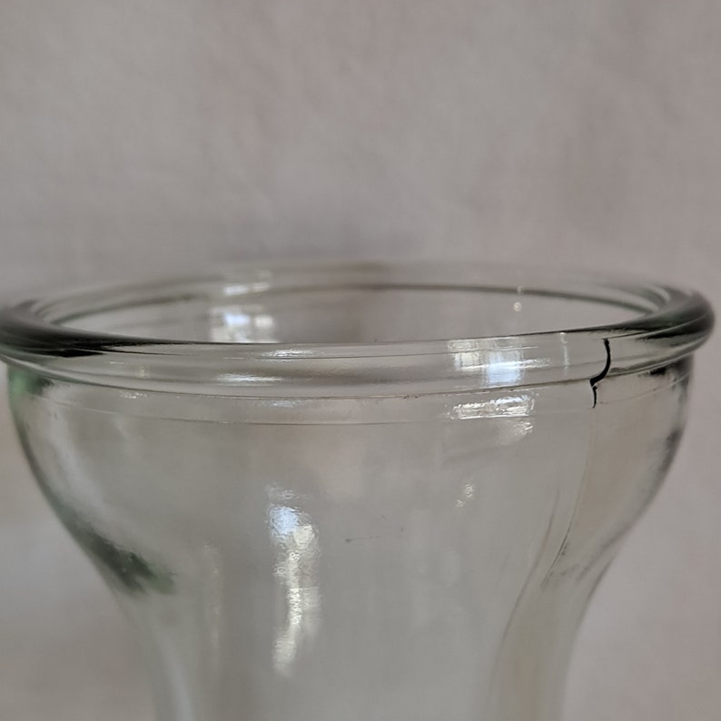 Clear Glass BULB FORCING VASE 5 3/4 Hyacinth Starter Clear Flower