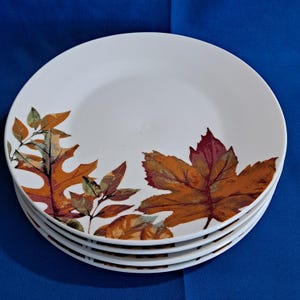 Set 4 Royal Norfolk Fall Leaves 7 1/2" SALAD PLATES Thanksgiving Autumn Leaf