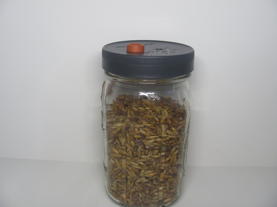 6x Mushroom Grain Spawn Jar PP5 Lid O Fungi U Etsy