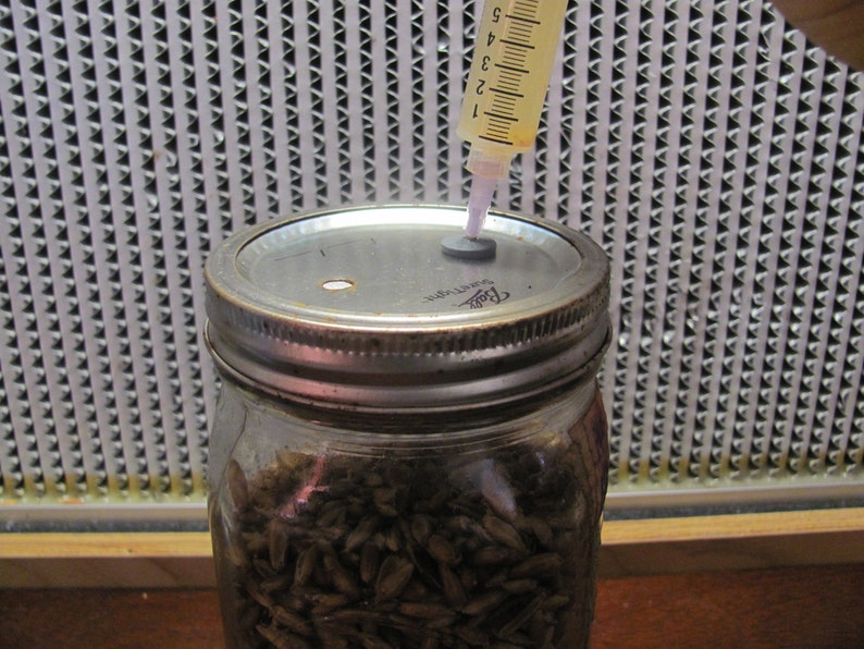 12x Mushroom Grain Spawn Jar PP5 Lid O fungi U Etsy