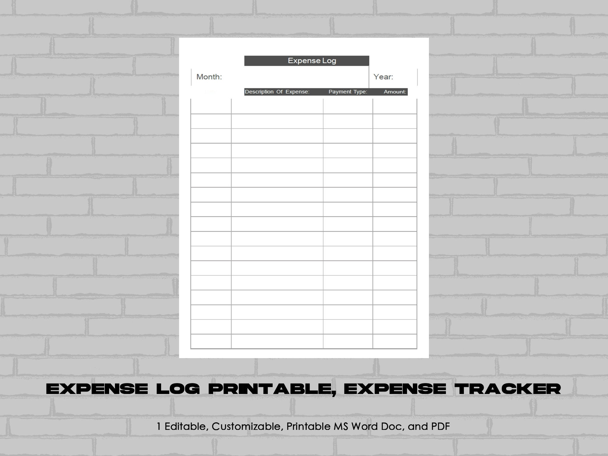 Editable Expense Log Printable: Spending Tracker (PDF, MS Word) - Etsy