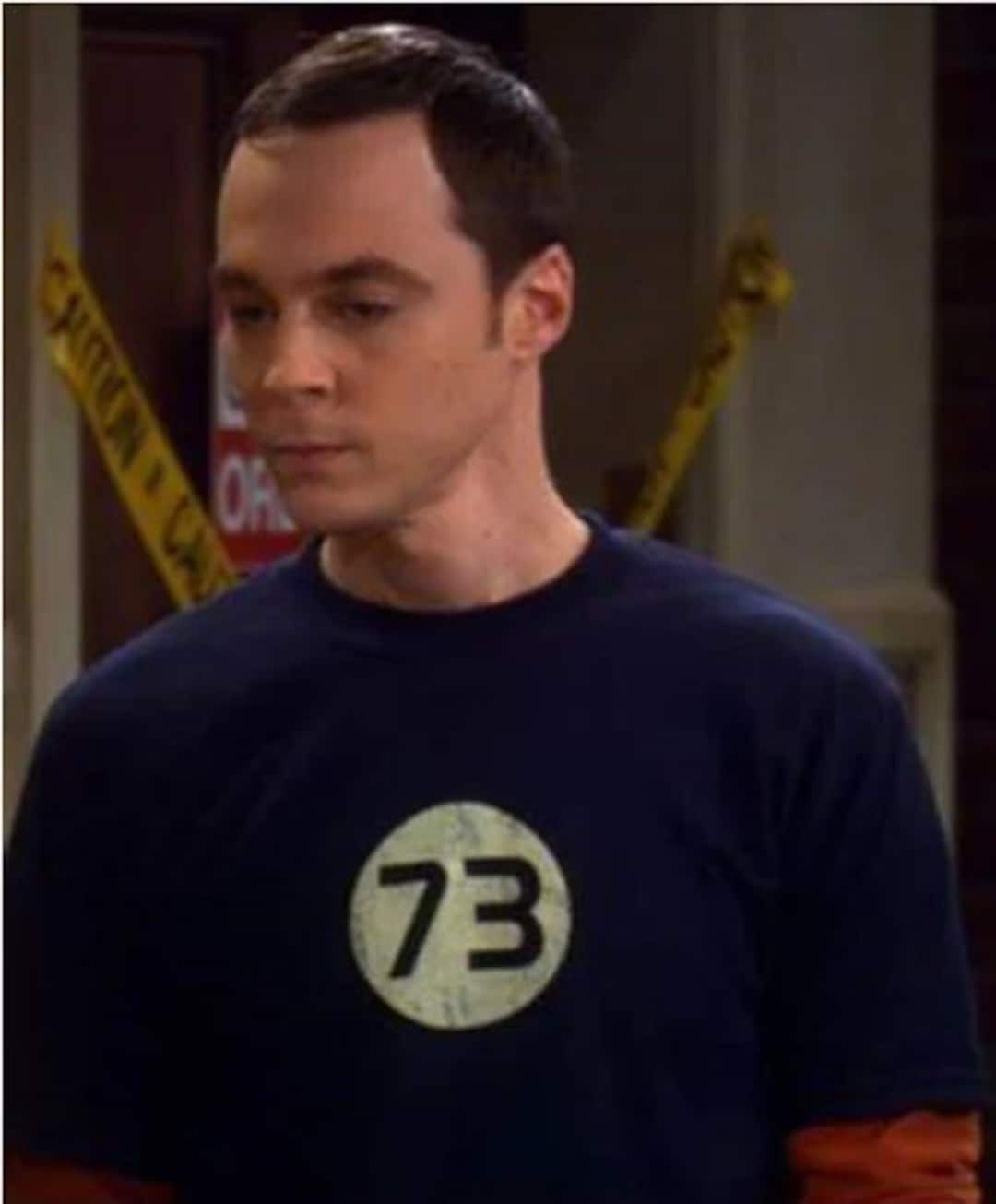 Sheldon Cooper 73 Shirt | lupon.gov.ph