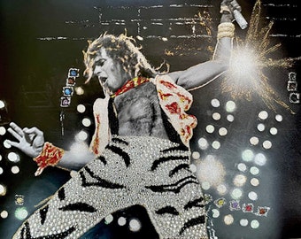 Van Halen David Lee Roth Rhinestone, Glitter Wall Art