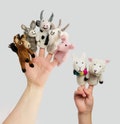 Handmade Felt Wool Farm Animal Finger Puppets (Set of 7)