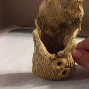 Puede incluir: Un pequeño macetero de cerámica beige con una superficie texturizada y dos botones. El macetero está abierto en la parte superior y tiene una forma redondeada.