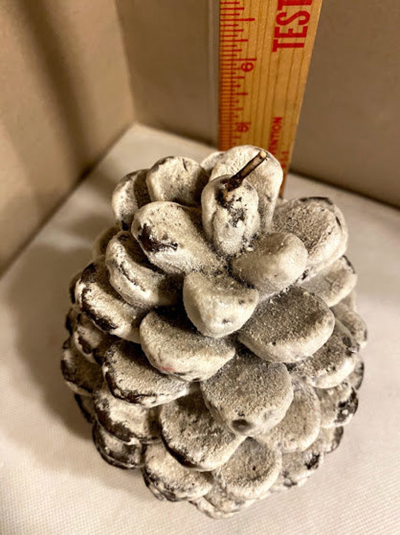 Pine Cone Shaped Candle Vintage Wax Candle 6in x 4 in Etsy