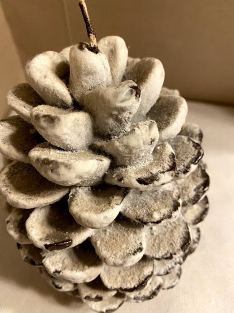 Pine Cone Shaped Candle Vintage Wax Candle 6in X 4 In Etsy UK