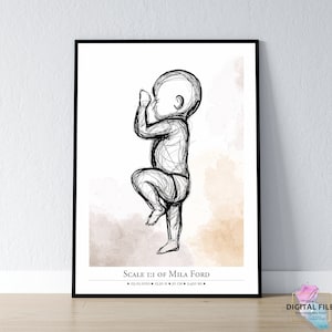 Geburtsposter im Maßstab 1:1 | Personalisiertes Baby Poster | Digitale Dateien