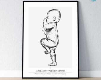 Birth Stats Poster, Baby Birth Stats, Birth Announcement, Birth Poster in Scale 1:1 | Personalized Baby Poster, DIGITAL download