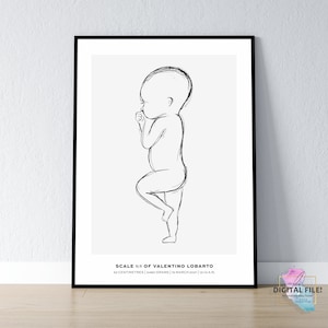 Birth Stats Poster, Baby Geburtsanzeige, Geburtsankündigung, Geburtsposter im Maßstab 1:1 | Personalisiertes Baby Poster, DIGITALER Download