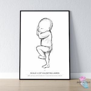 Póster de estadísticas de nacimiento, estadísticas de nacimiento del bebé, anuncio de nacimiento, póster de nacimiento a escala 1:1 / póster de bebé personalizado, archivo digital