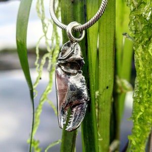 Crab Claw Pendant